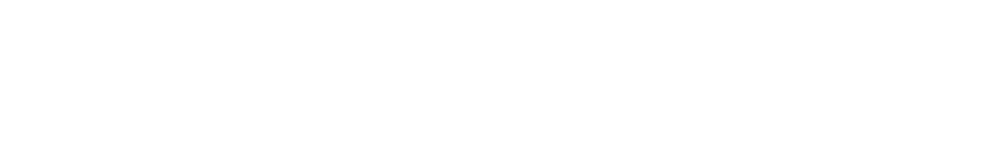 Ningaloo station logo - Perth Digital Edge